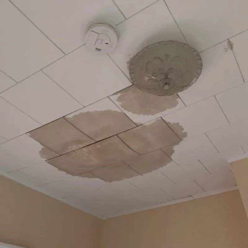 Ceiling Water Damage Repair in Thermal, CA