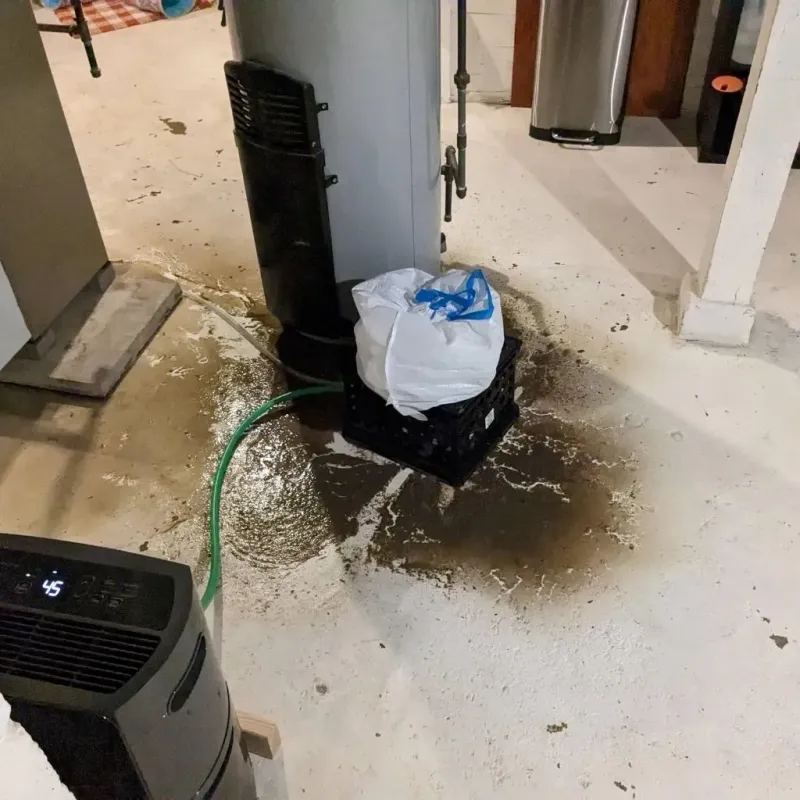 Sewage Backup Cleanup Service in Thermal, CA